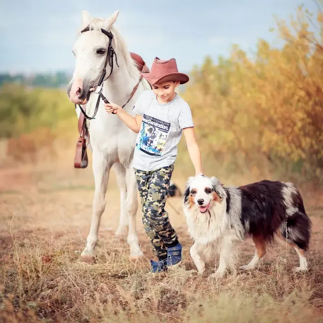 boy with horse and dog